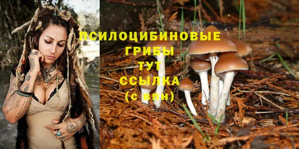 гашик Навашино